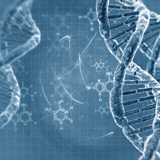 An illustration of a DNA strand and molecules